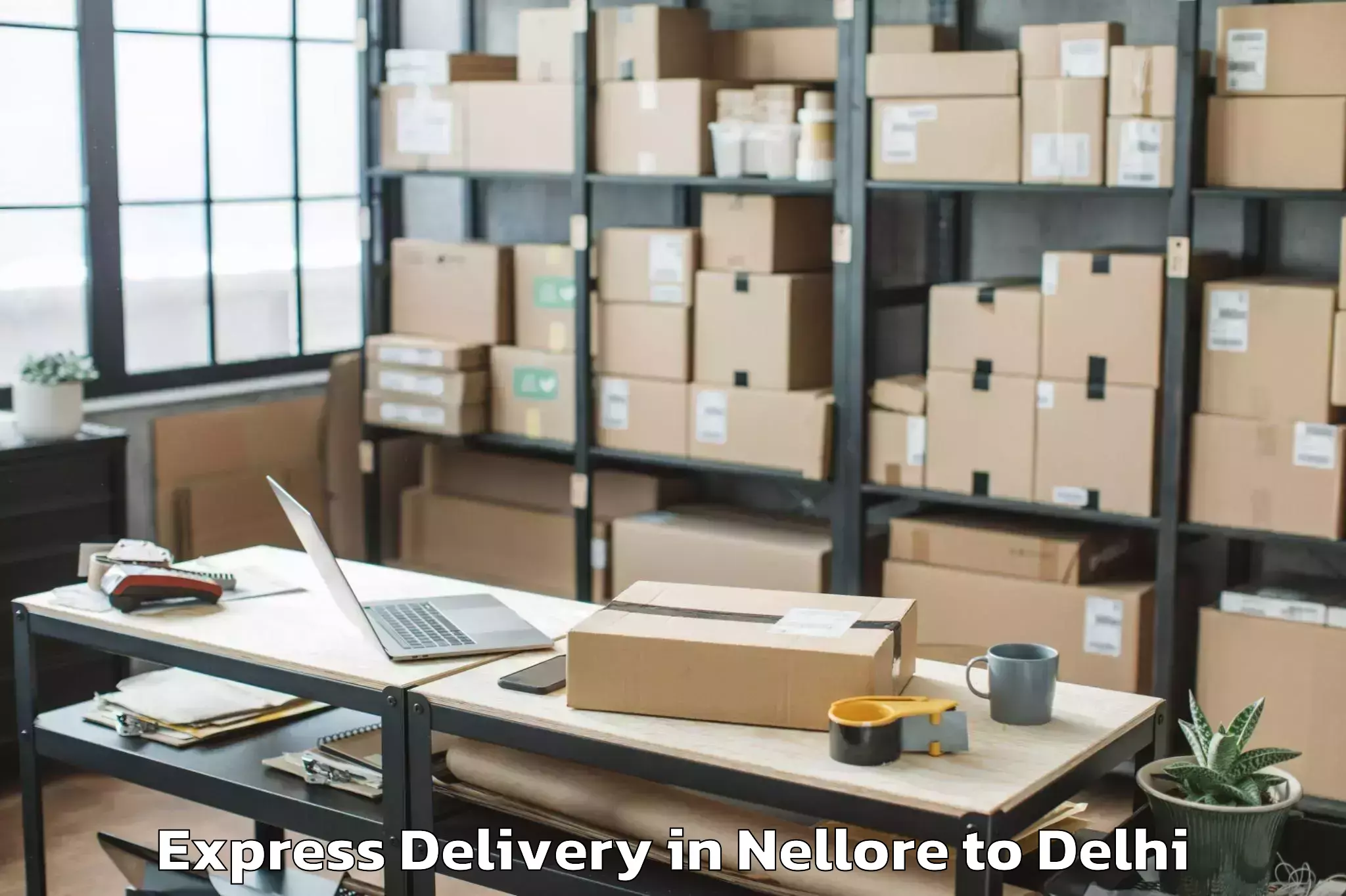 Top Nellore to Okhla Industrial Estate Okhla Express Delivery Available